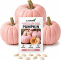 Rare Porcelain Doll Pink Pumpkin Seeds – 10 Easy-to-Grow Decorative Pumpkins with Stunning Soft Pink Color Perfect for Fall Garden, Home Décor, and Craft Projects