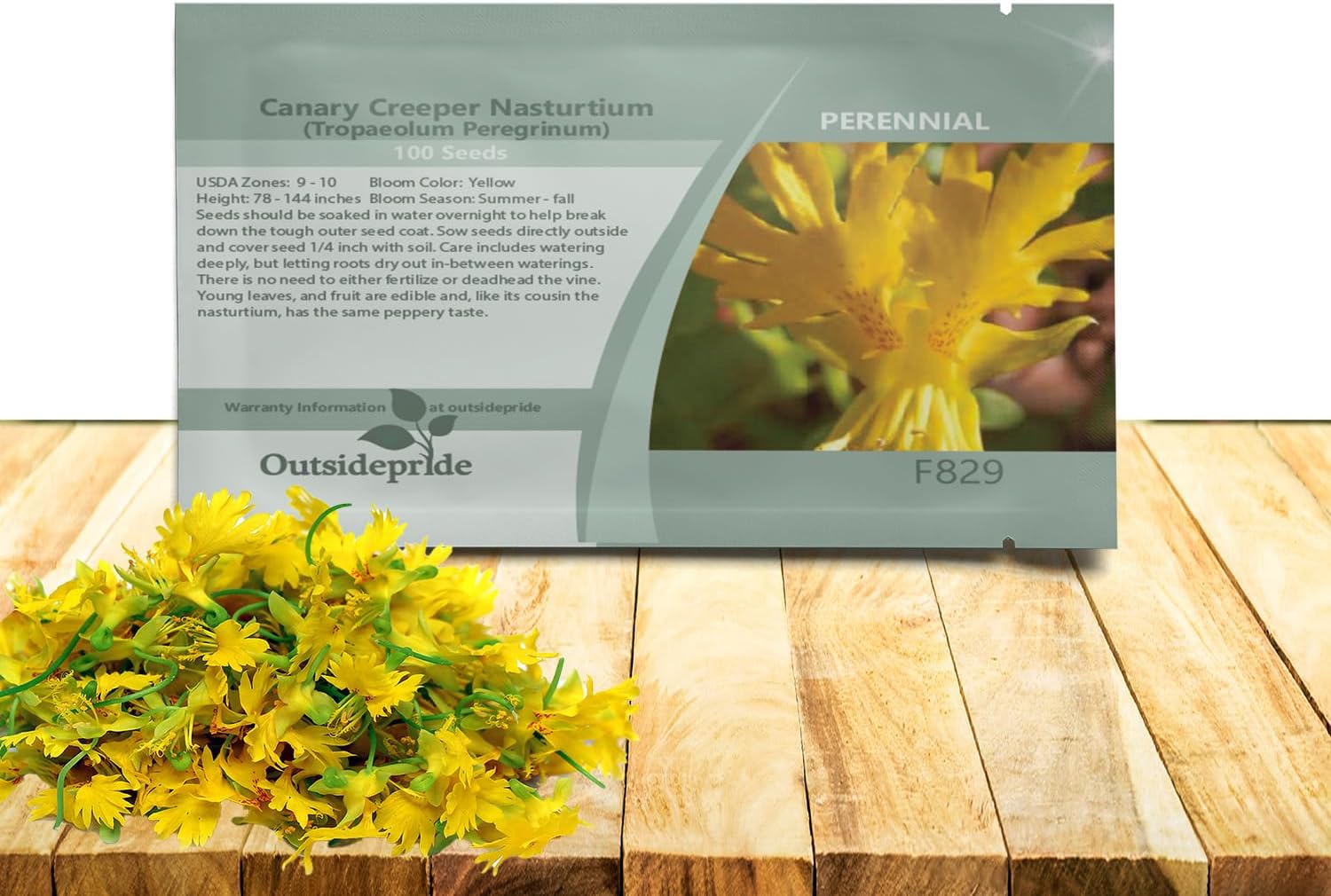Outsidepride Yellow Canary Creeper Nasturtium Seeds - 100 Pcs Perennial, Easy to Grow  Versatile, Flower Seeds for Planting Vibrant Blooms, Ideal for Gardens, Borders, and Pollinator Gardens(200 Seeds)
