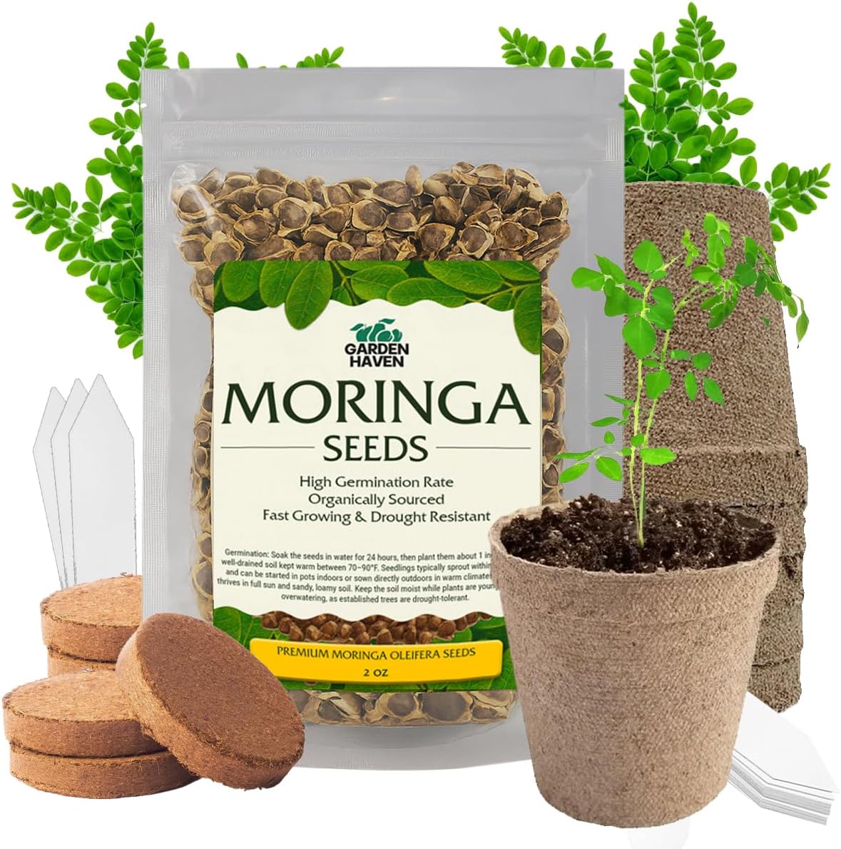 Moringa Oleifera Growing Kit, Moringa Seeds Complete Starter Set with 2 oz Seeds, 5 Peat Pots, Soil Discs, Plant Markers, Fast Growing Drought Resistant