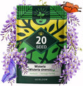 Wisteria Seeds (Wisteria Sinensis), Cascading Spring Blooms, Spectacular Purple Flower Sea, Long-Lived Climbing Plant, Perennial Vine, Nectar Source Plant, Pack of 20 Seeds