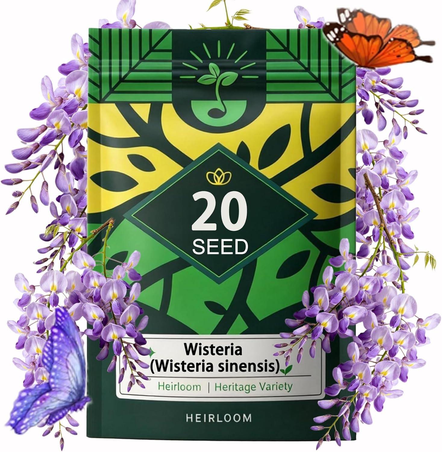 Wisteria Seeds (Wisteria Sinensis), Cascading Spring Blooms, Spectacular Purple Flower Sea, Long-Lived Climbing Plant, Perennial Vine, Nectar Source Plant, Pack of 20 Seeds