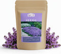 30,000+ Pcs Creeping Thyme Seeds for Planting Low Growing Ground Cover for Sunny Walkways Garden Beds and Open Soil Areas (Purple)(Purple)