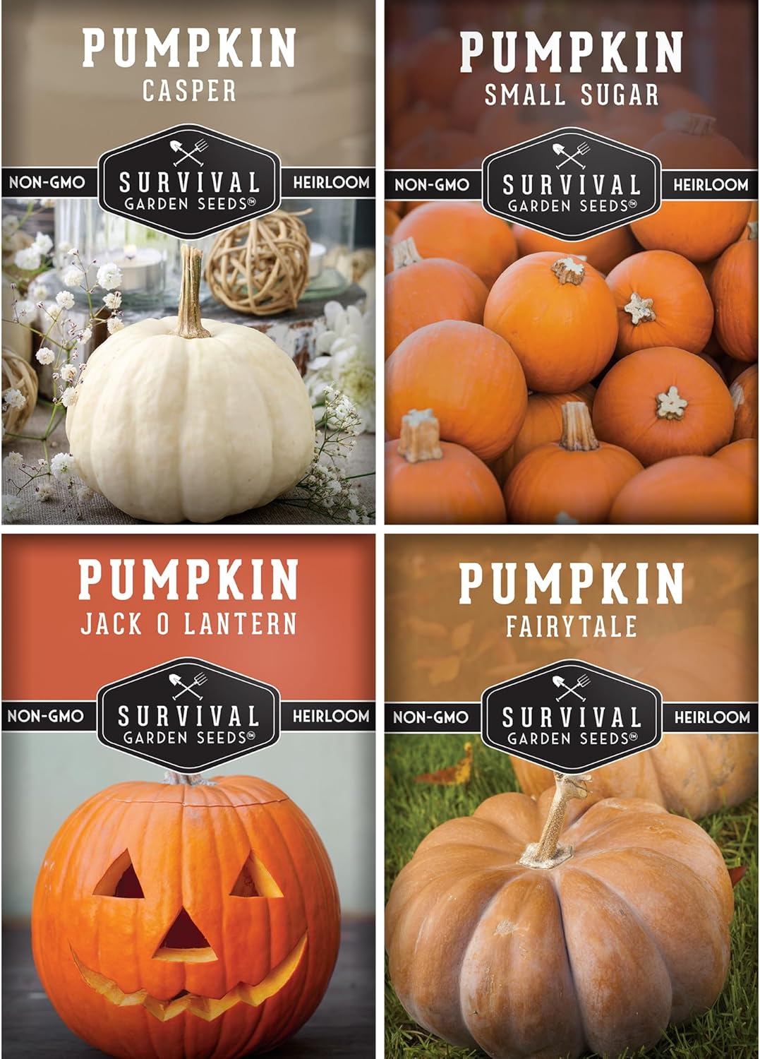 Pumpkin Seeds 4 Variety Pack for Planting – Small Sugar, Jack O’ Lantern, Fairytale  Casper Heirloom Non-GMO Pumpkin Seed Collection | Survival Garden Seeds