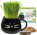 The Cat Ladies Organic Cat Grass for Indoor Cats - Growing Kit with Organic Seed Mix, Soil and Black Cat Planter. Natural Hairball Control and Digestion Remedy, Cat Gifts
