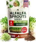 HOME GROWN Alfalfa Sprout Seeds 8 oz Bulk Heirloom Non-GMO, USA Sourced, High Germination, Fast Growing Microgreens, Nutrient Dense Sprouting Seeds for Sandwiches  Salads, Indoor Garden