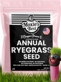 Annual Ryegrass Seed - 1/2 Quart (5.5 oz) Pure Native – Sprouts Grass in 3-6 Days Farm Fresh Seeds Non-GMO Always Zero additives Grown and Packed in the USA