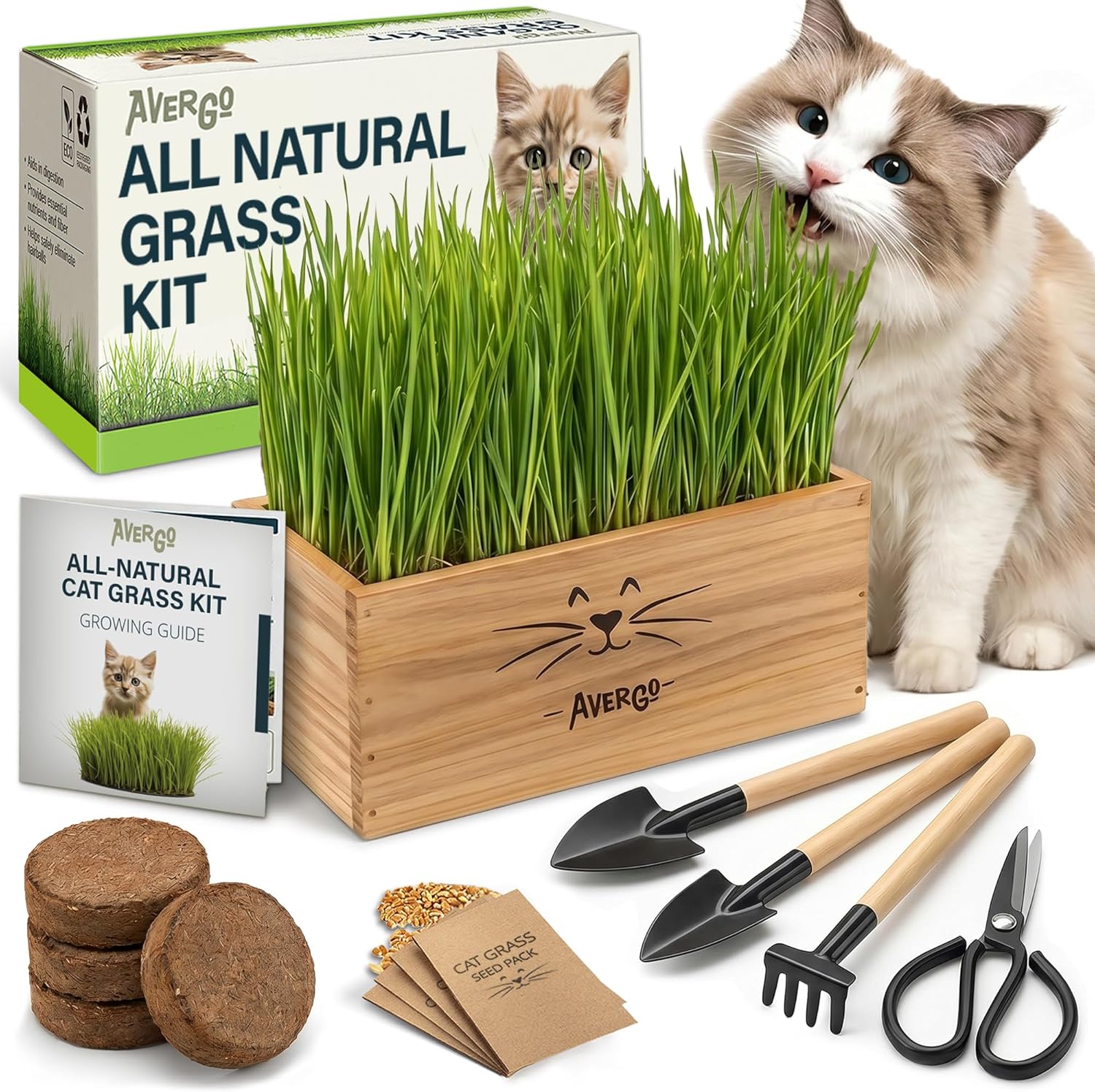 Cat Grass Kit for Indoor Cats – x4 Seed Packets | Cat Grass Seeds with Wooden Planter, Soil  Mini Gardening Tools for Nipping  Nibbling – Pet Wheatgrass Grass