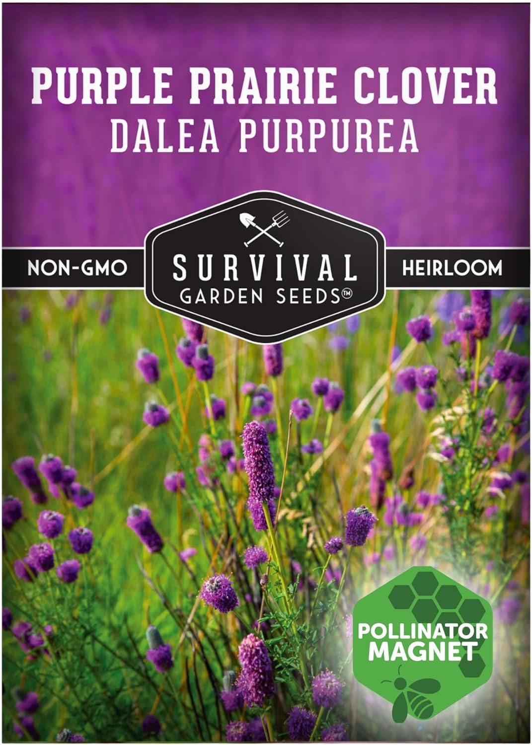 Purple Prairie Clover Seeds for Planting | Dalea purpurea | Drought Tolerant North American Native Wildflower | 1 Pack | Survival Garden Seeds