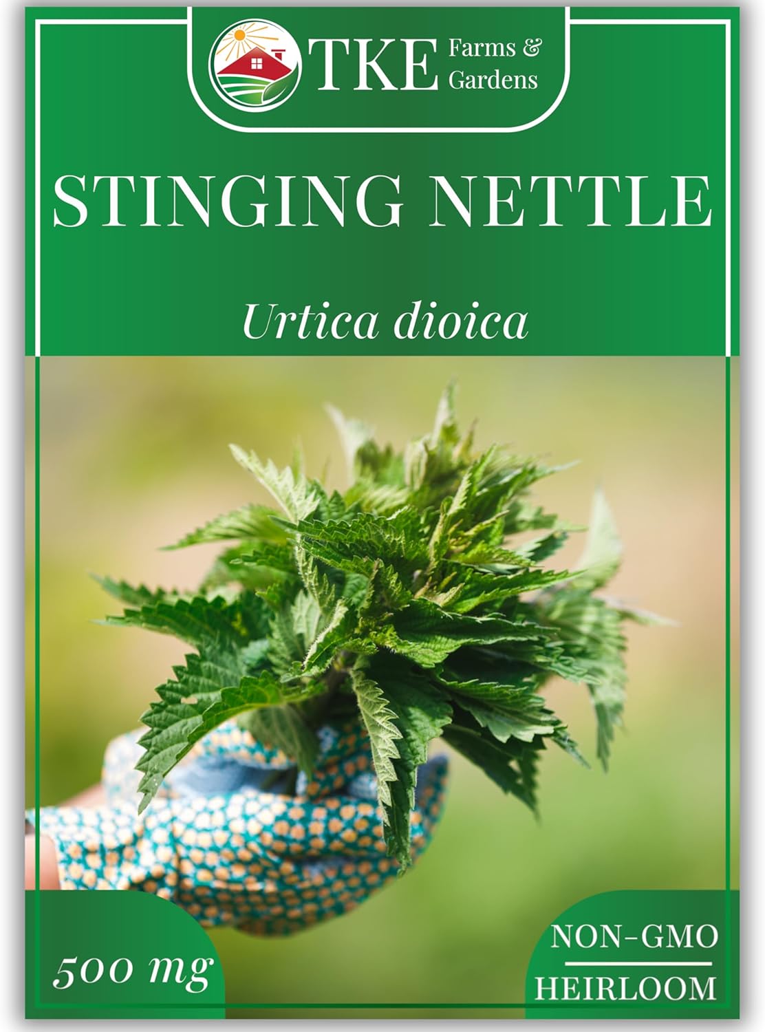 TKE Farms  Gardens - Stinging Nettle Seeds for Planting - 2000 Non-GMO Heirloom Seeds (500 mg) - Urtica dioica - Includes Growing Instructions - Easy to Grow Perennial Herb