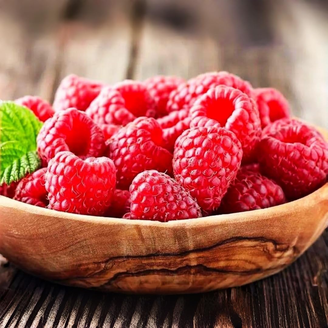 Red Raspberry Seeds (200pcs) Delicious Summer Berry Bush Fast-Growing, Hardy, Perennial Fruit Plant for Home Gardens  Landscaping