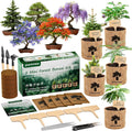 Bonsai Starter Kit for Adults – Complete Indoor Tree Growing Set with Jacaranda Seeds, Tools  Planter | DIY Gardening Hobby Kits for Plant Lovers, Unique Easter Gifts for Men  Women