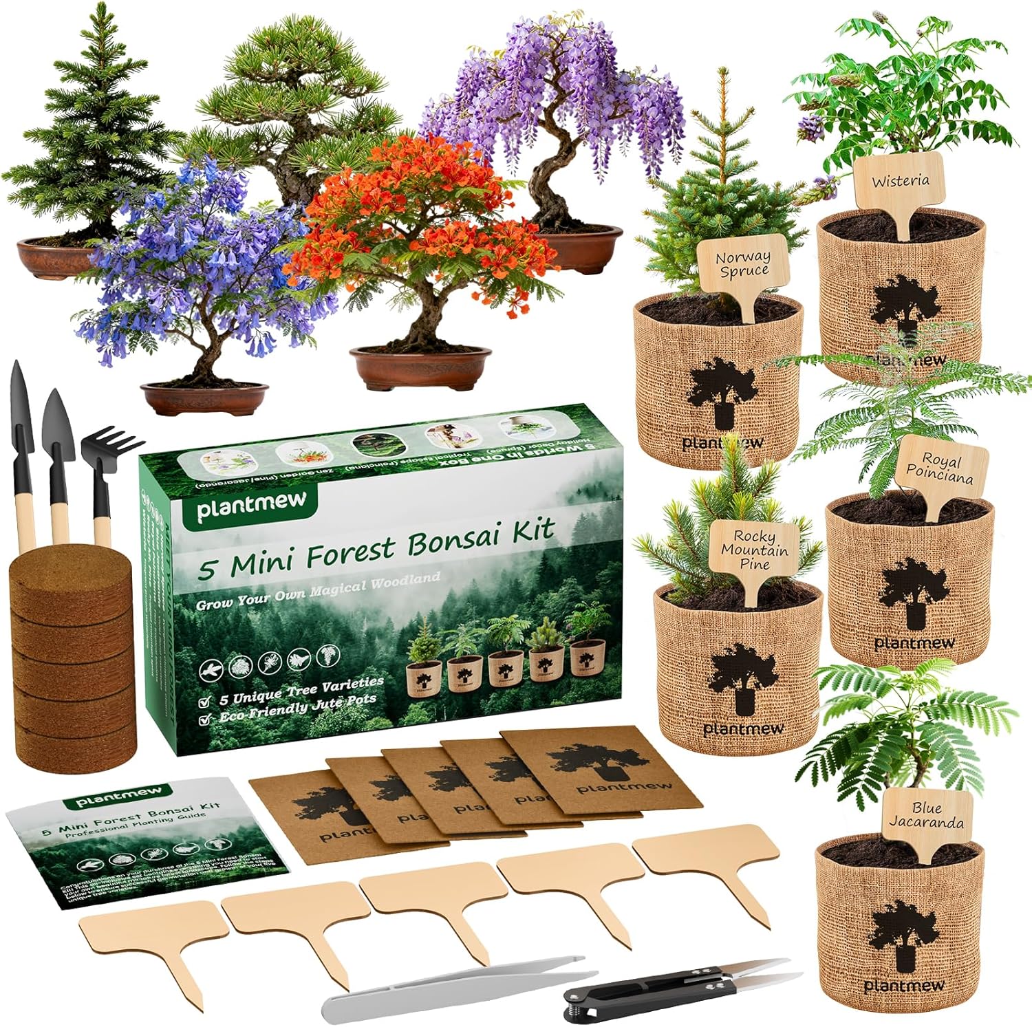Bonsai Starter Kit for Adults – Complete Indoor Tree Growing Set with Jacaranda Seeds, Tools  Planter | DIY Gardening Hobby Kits for Plant Lovers, Unique Easter Gifts for Men  Women