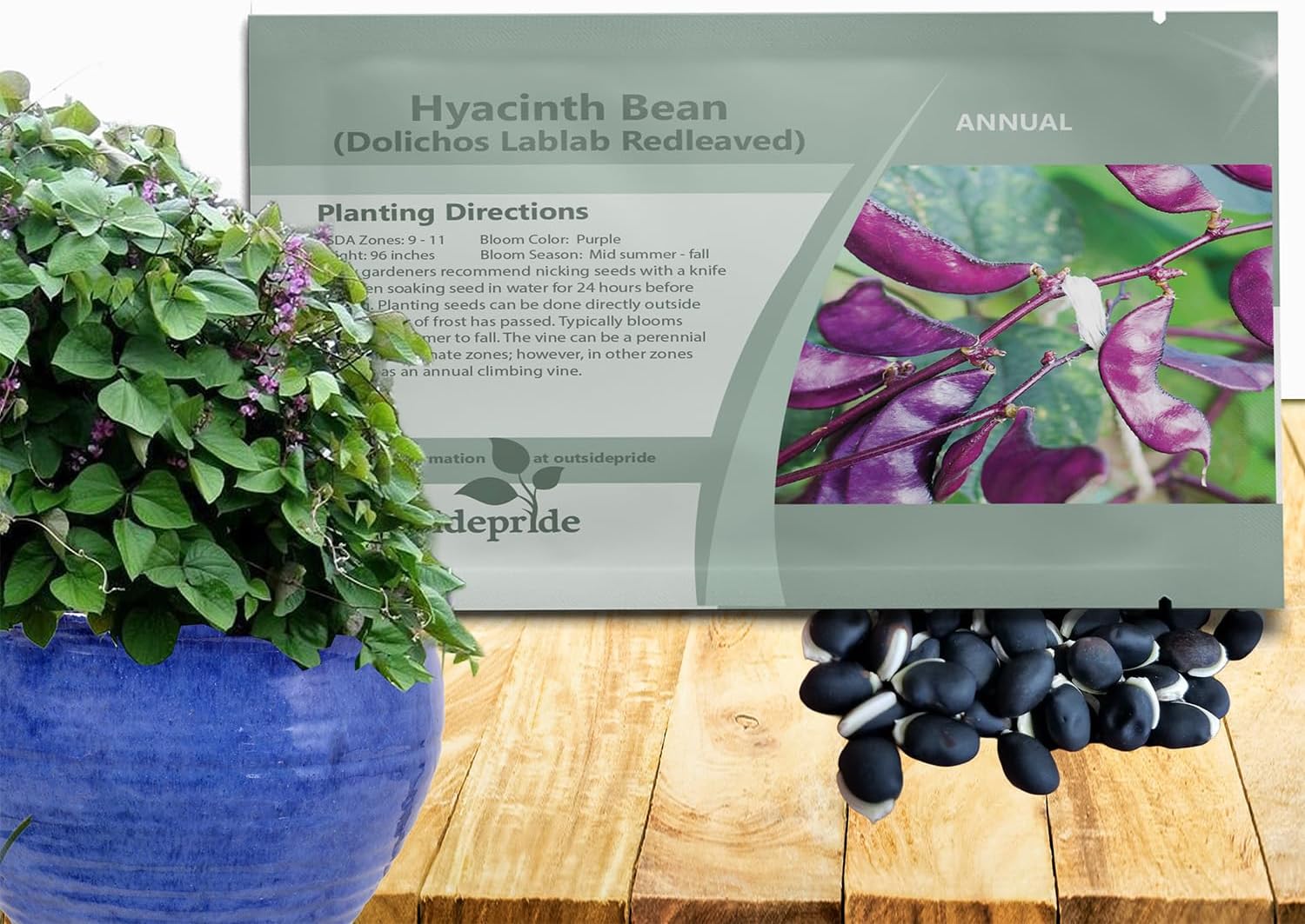 Outsidepride Red Lablab Hyacinth Bean Vine Seeds - 100 Pcs Perennial, Fast Growing Vegetable Seeds for Planting with Fragrant Foliage for Garden  Edible Flower and Pods for Culinary Uses