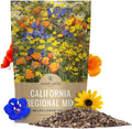 Midwest Regional Mix - Large 1 Ounce Packet - 15,000 Flower Seeds for Planting - Wildflower Mix(California Regional Mix/Bulk 1 Pound)