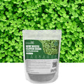 Groundio Mini White Clover Seeds 1LB, 4-6 Inch Tall Perennial Dwarf Dutch Clover Trifolium Repens, Low-Maintenance Ground Cover, Small Green Leaf, Nitro Coated and Inoculated, USDA Zones 3-10