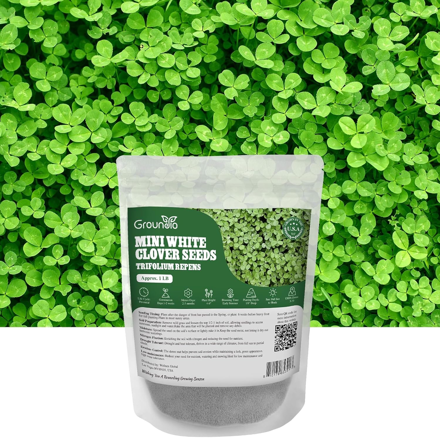 Groundio Mini White Clover Seeds 1LB, 4-6 Inch Tall Perennial Dwarf Dutch Clover Trifolium Repens, Low-Maintenance Ground Cover, Small Green Leaf, Nitro Coated and Inoculated, USDA Zones 3-10