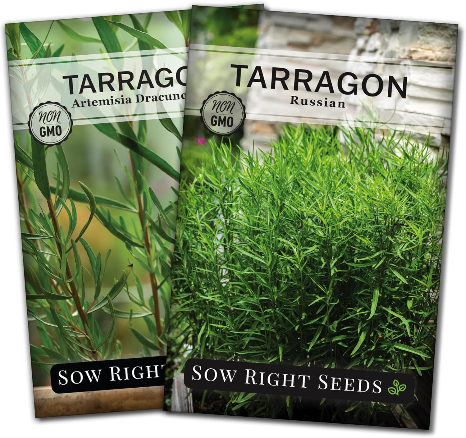 Sow Right Seeds - Tarragon Seed Collection for Planting - French and Russian Varieties - Non-GMO Heirloom Packet with Instructions to Plant an Outdoor or Indoor Herb Garden - Perennial Leafy Green