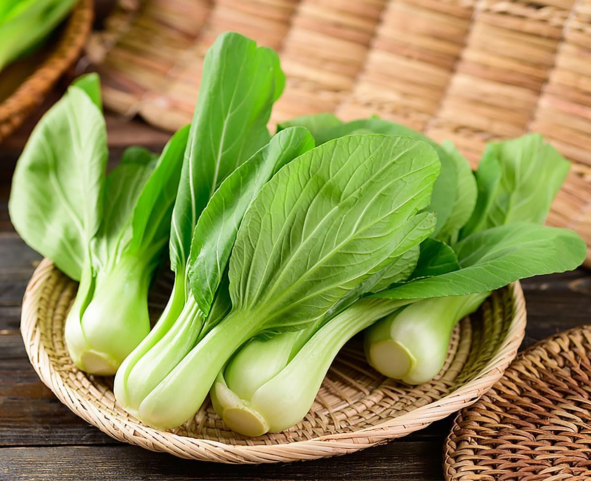 Shanghai Baby Bok Choy Seeds - Delicious Chinese Vegetable