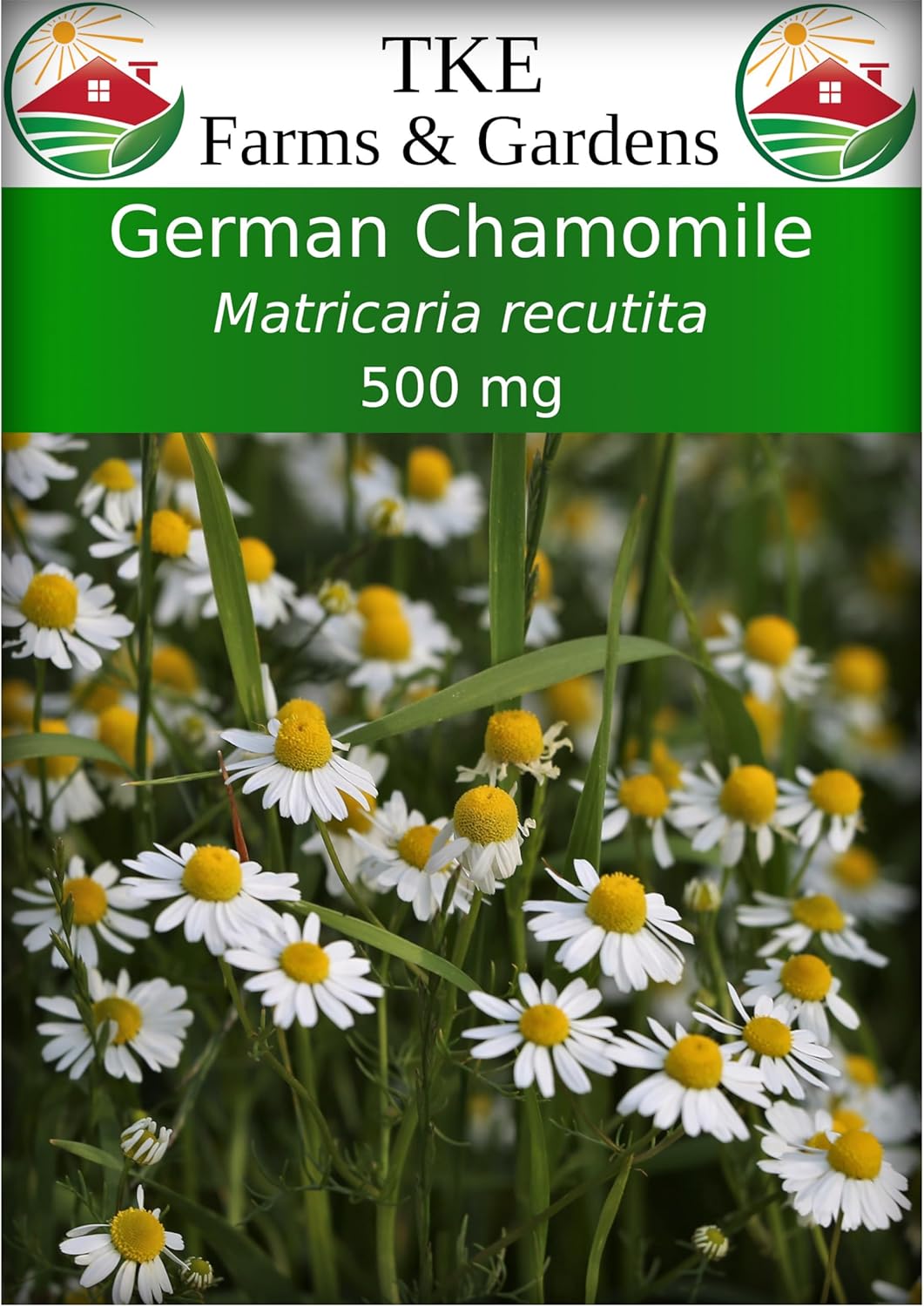 TKE Farms  Gardens - German Chamomile Seeds for Planting - 5000+ Non-GMO, Heirloom Seeds, 500 mg, Medicinal Herb for Tea, Aromatic  Ideal for Indoor/Outdoor Growing