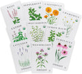 Sereniseed Certified Organic Herbal Tea Seed Collection (10-Pack) – 100% Non GMO, Open Pollinated – Grow Guide