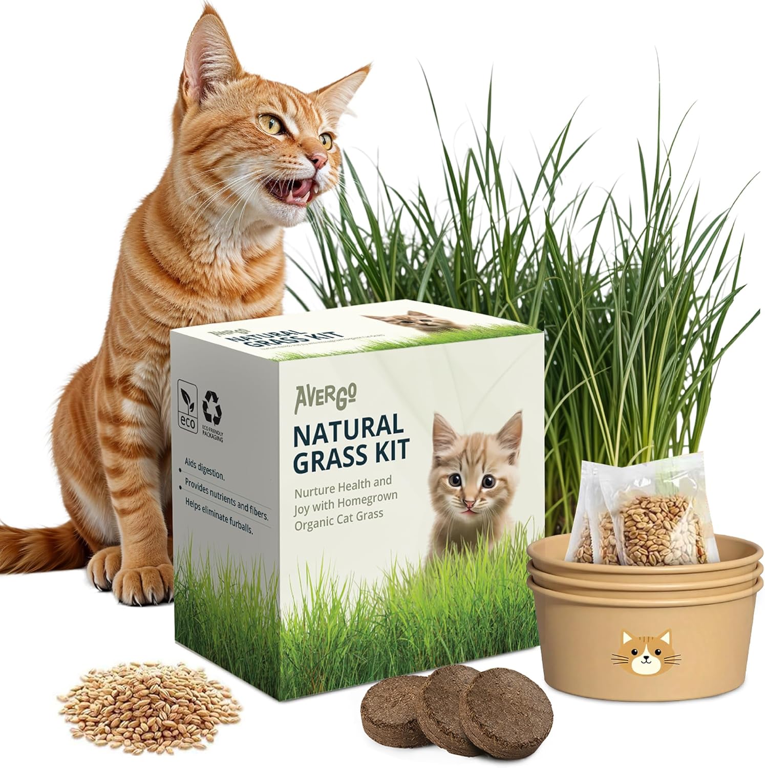 Cat Grass Kit for Indoor Cats – x3 Seed Packets | Cat Grass Seeds with Recyclable Planter  Coconut Coir Expanding Soil Discs – Wheatgrass Grass