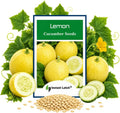 50 Lemon Cucumber Seeds for Planting Non GMO Heirloom Seeds Fresh Garden Seed