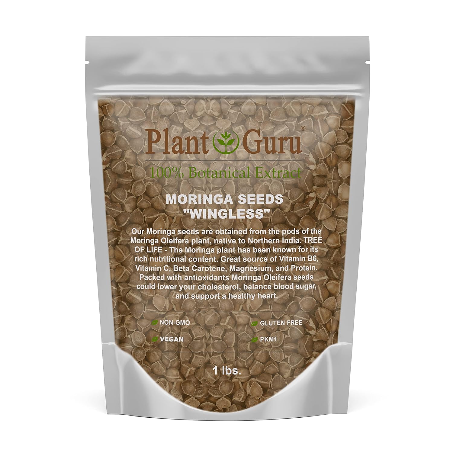 Moringa Seeds Wingless 16 oz. / 1 lb. - PKM1 Variety - Edible Snacking - Planting - Moringa Oleifera - Malunggay - Semillas De Moringa - Drumstick Tree - Non-GMO - 1600 to 2000 Seeds