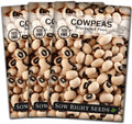 Sow Right Seeds - Black Eyed Cowpea Seeds for Planting - Non-GMO Heirloom Packet with Instructions to Plant a Home Vegetable Garden - Old Fashioned Bush Bean Variety - Extra Lucky (1)(3 Standard Packets)
