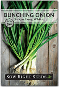 Sow Right Seeds - Tokyo Long White Bunching Onion Seeds for Planting - Perfect for Planting Outdoors or Indoors - Non-GMO Heirloom Green Onions - Easy to Grow for Gardeners - Tasty Flavor (1)