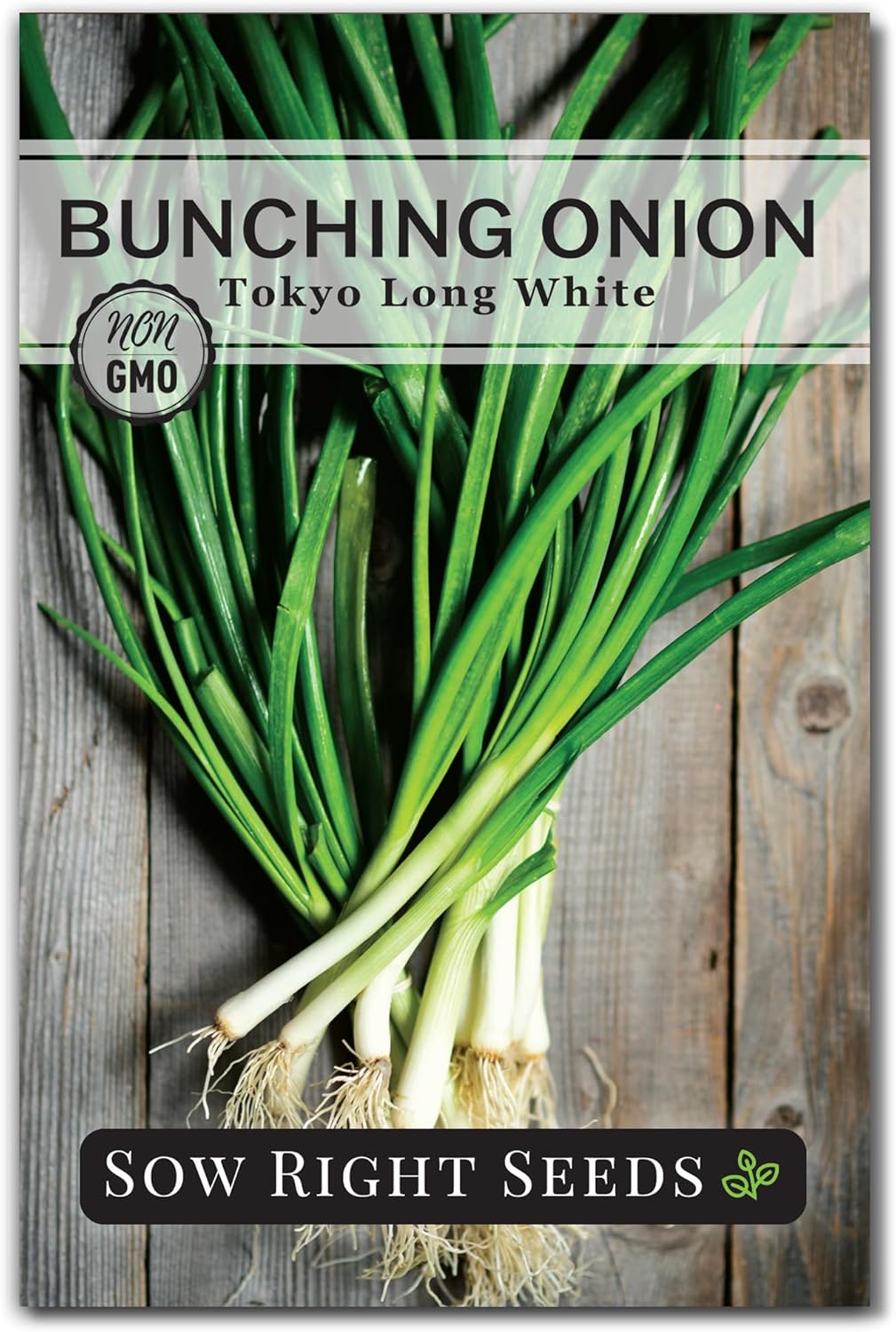 Sow Right Seeds - Tokyo Long White Bunching Onion Seeds for Planting - Perfect for Planting Outdoors or Indoors - Non-GMO Heirloom Green Onions - Easy to Grow for Gardeners - Tasty Flavor (1)