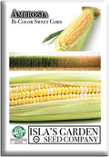 Ambrosia Bi-Color Sweet Corn Seeds (Zea mays) – 50+ Non-GMO Seeds by Isla’s Garden Seeds, Yellow  White Sweetcorn Variety for Backyard Garden Rows and Summer Harvests, Delicious Home Garden Gift Idea