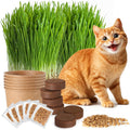 6 Pack Natural Cat Grass Seeds Growing Kit, Easy Growing Pet Grass for Cat  Kittens Indoor Garden, Fresh Cats Grass Set for Chewing, Quick Germination, Ideal for Beginners, Pet Safe