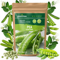 PLANTMEW Sugar Snap Pea Seeds for Planting - Heirloom, Open Pollinated - Sweet  Crunchy Edible Pods for Fresh Eating - Easy Grow Vertical Vine for Containers, Trellis  Home Garden