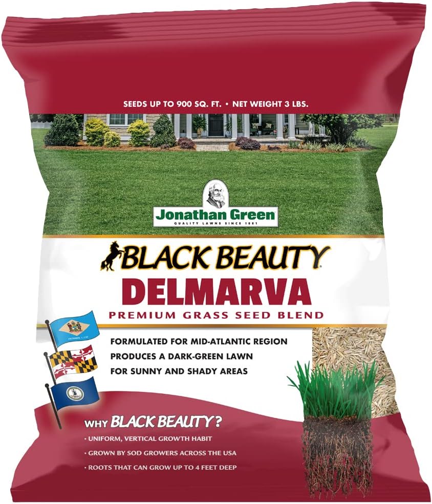 Jonathan Green (10390) Black Beauty Delmarva Grass Seed (Made for Maryland, Delaware, Virginia) - Cool Season Lawn Seed (3 lb)
