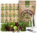 Organo Republic 22 Lettuce  Salad Greens Seeds Variety Pack 24,700+ Non-GMO Heirloom Lettuce Seeds for Indoor  Outdoor Garden, Hydroponic  Aeroponic - 2026 Season - Arugula, Spinach, Swiss Chard(15 Lettuce  Salad Greens Seeds)