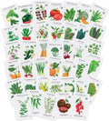 Sereniseed Certified Organic Vegetable Seeds (10-Pack) – Non GMO, Open Pollinated - Basil, Snap Pea, Broccoli, Bean, Jalapeno, Tomato, Lettuce, Cucumber, Carrot, Zucchini Seeds for Planting(40-Pack)