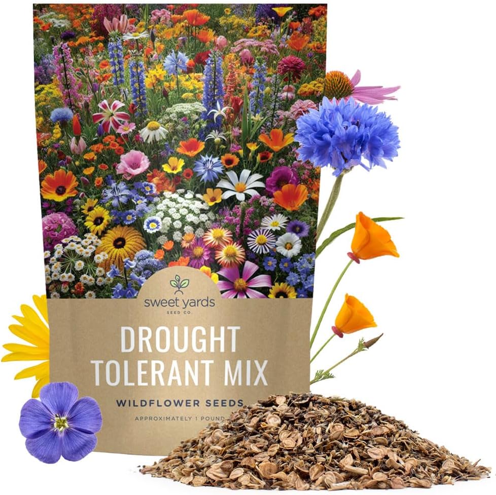 Drought Tolerant Wildflowers Mix – Extra Large Packet – Over 7,500 Open Pollinated Non-GMO Seeds – 21 Different Dryland Species(Bulk 1 Pound)