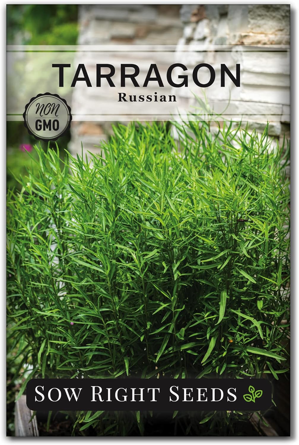 Sow Right Seeds - Russian Tarragon Seeds for Planting - Little Dragon - Non-GMO Heirloom Packet with Instructions for Planting a Beautiful Herb Garden - Rare Culinary Herbs for Home Gardening (1)