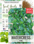 Seed Needs Watercress Seeds for Planting Nasturtium officinale - Non-GMO Heirloom  Untreated - Plant Your own Home Grown Culinary Herb Garden Indoors or Outdoors (1 Pack)