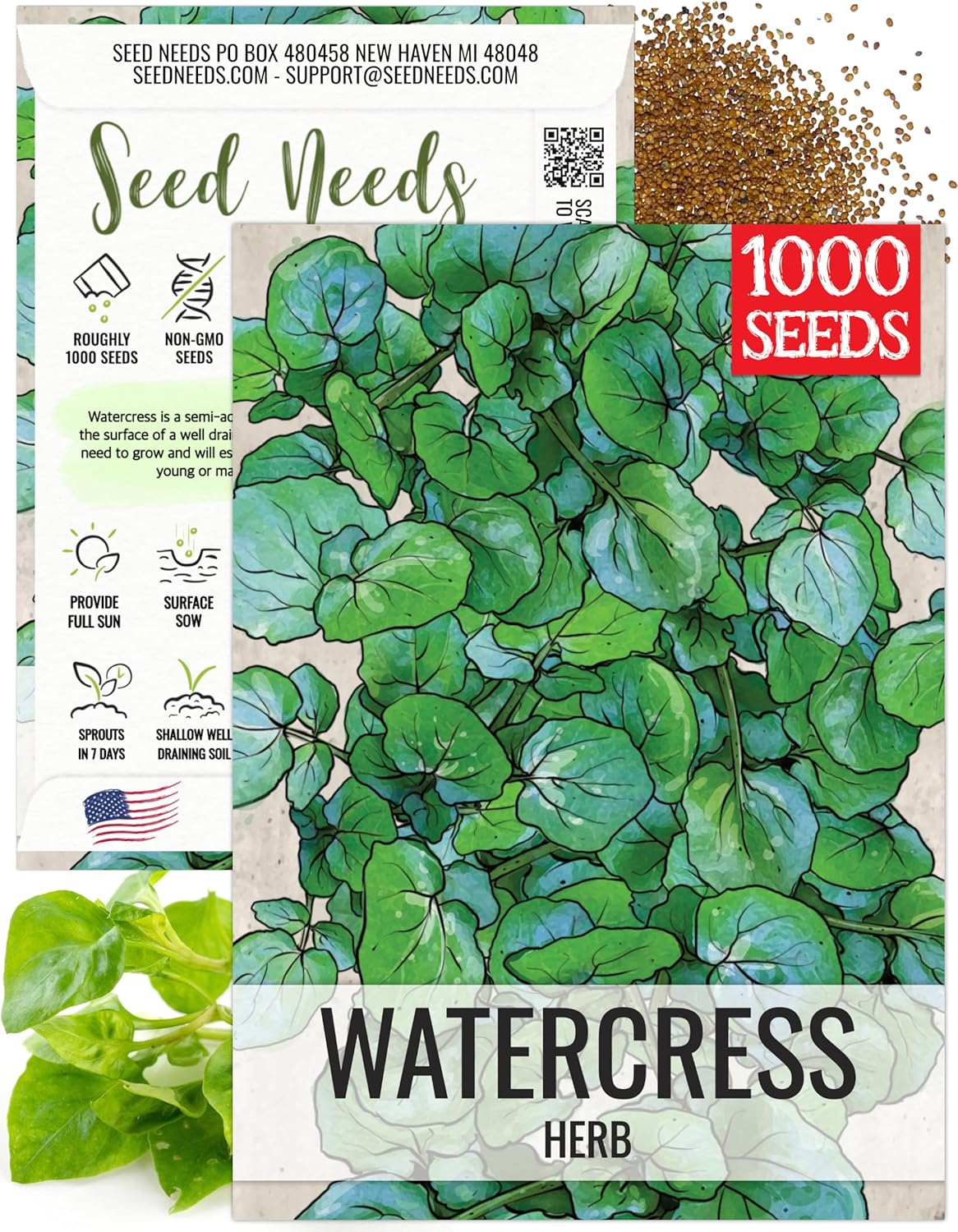 Seed Needs Watercress Seeds for Planting Nasturtium officinale - Non-GMO Heirloom  Untreated - Plant Your own Home Grown Culinary Herb Garden Indoors or Outdoors (1 Pack)
