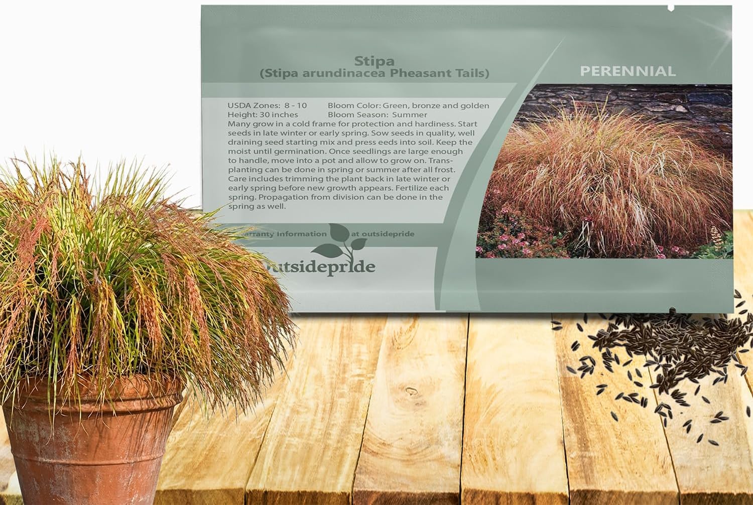 Outsidepride 1000 Seeds Perennial Stipa Tenuissima Mexican Feather Ornamental Grass Seed for Planting(500 Seeds/Stipa Pheastant Tails)