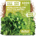KVITER 1000 Slow Bolt Cilantro Seeds (Coriandrum sativum) - Cilantro Seed, Slow to Bolt Coriander Seed, Aromatic Leaves - Herb Seeds for Planting in Outdoor  Indoor Garden