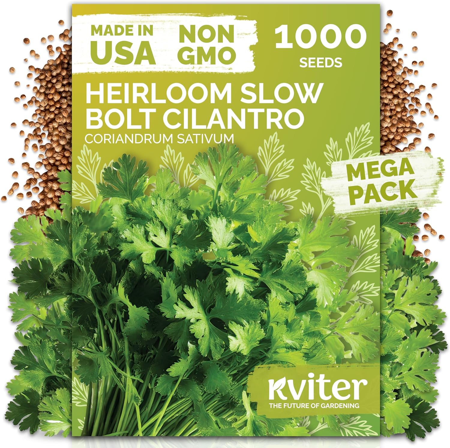 KVITER 1000 Slow Bolt Cilantro Seeds (Coriandrum sativum) - Cilantro Seed, Slow to Bolt Coriander Seed, Aromatic Leaves - Herb Seeds for Planting in Outdoor  Indoor Garden