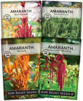 Sow Right Seeds - Amaranth Seed Collection for Planting - Non-GMO Heirloom Varieties to Grow an Outdoor Home Garden - Red  Green Garnet, Bronze, Love Lies Bleeding - Striking Cut Flowers