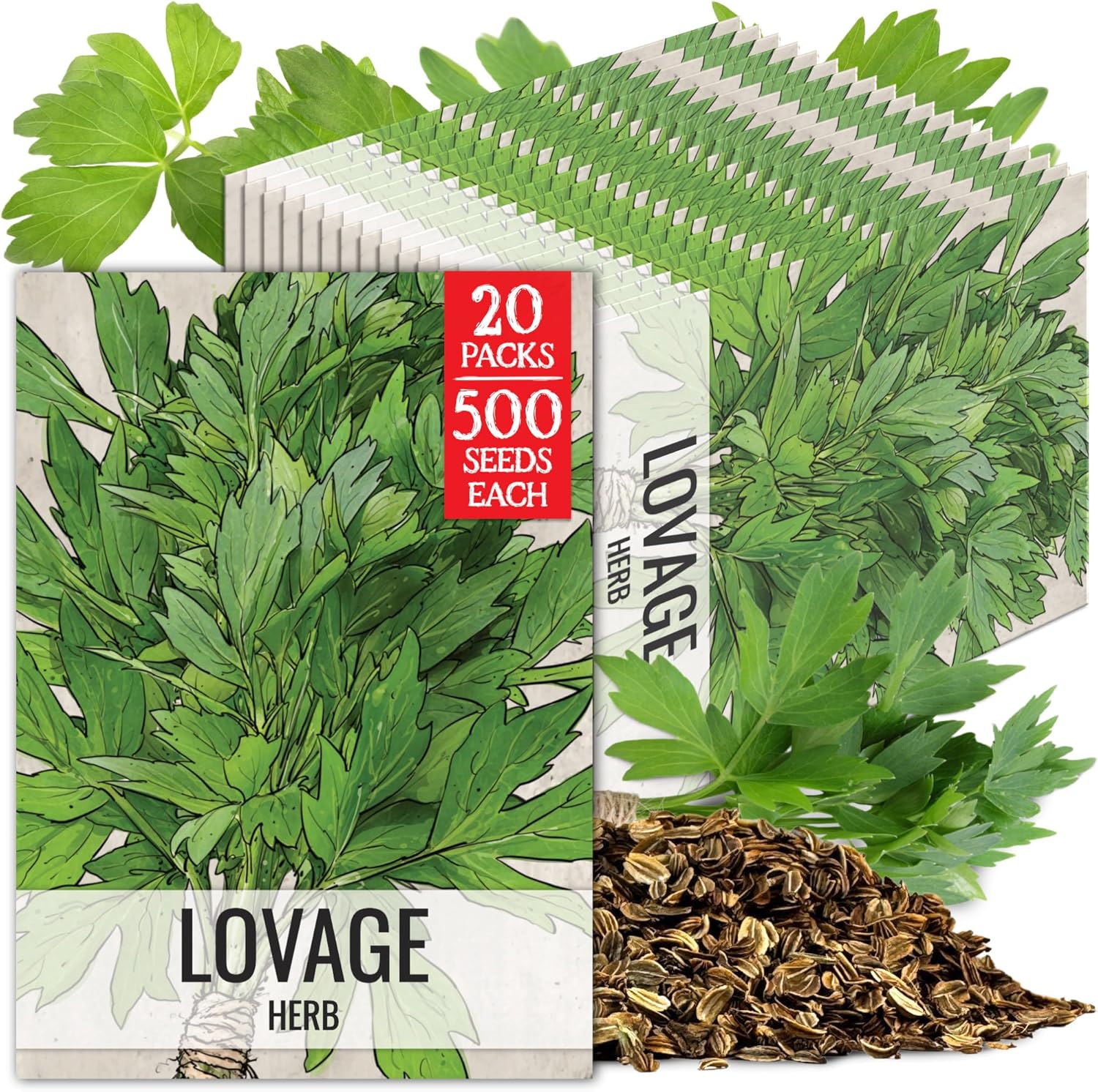 Seed Needs Lovage Seeds for Planting - Non-GMO Heirloom  Untreated Herbs to Plant a Medicinal/Culinary Home Grown Herb Garden Indoors or Outdoors (1 Pack)(20 Packs)