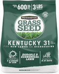 Pennington 100% Kentucky 31 Tall Fescue Penkoted Grass Seed 3 lb