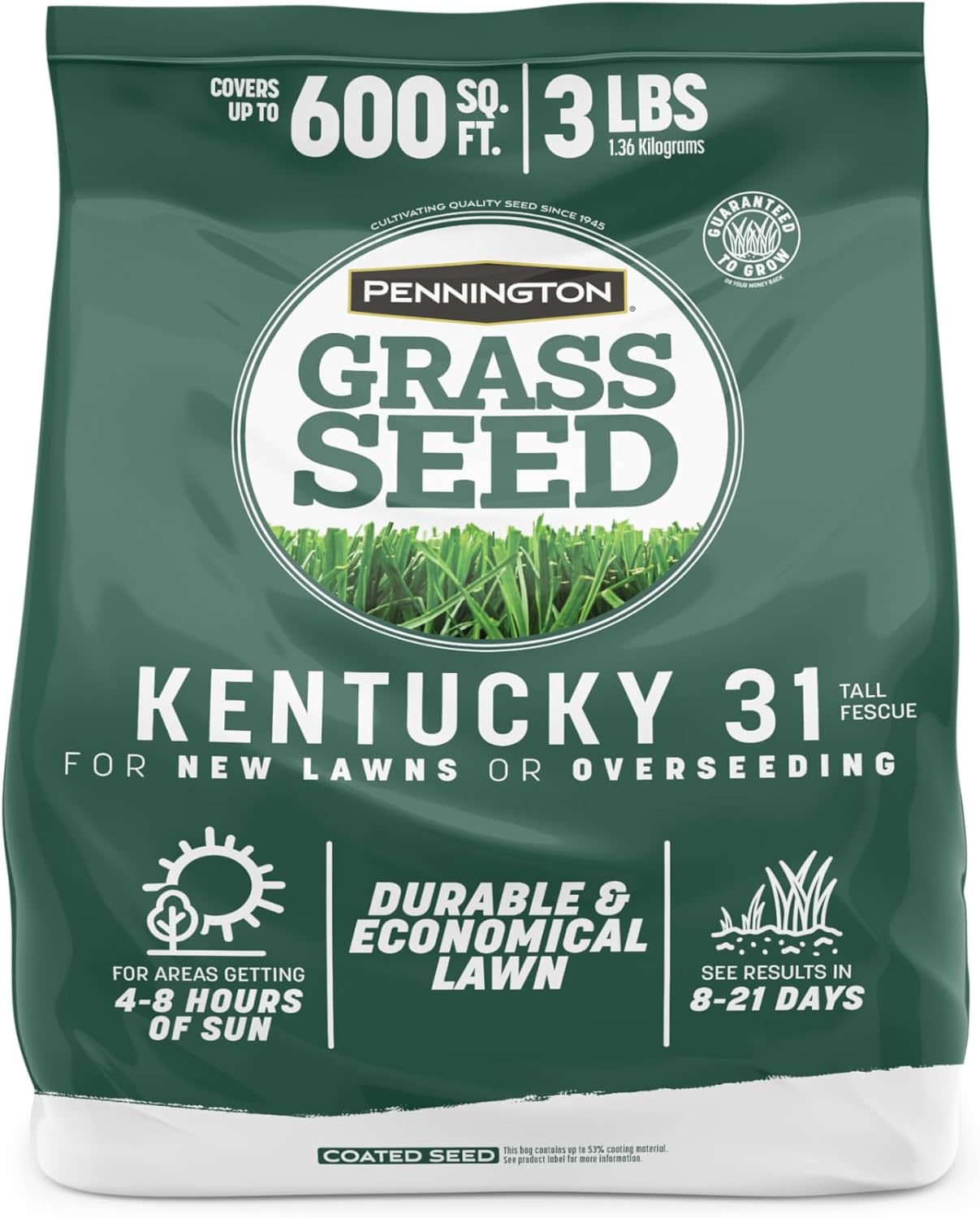 Pennington 100% Kentucky 31 Tall Fescue Penkoted Grass Seed 3 lb