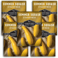Yellow Straightneck Squash Seeds for Planting – Heirloom Straight Neck Summer Vegetable Seed Variety - Non-GMO, High Yield, Open-Pollinated - Survival Garden Seeds (1 Pack)(5)