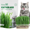 Groundio Cat Grass Seeds 4 OZ, Wheat  Oat Seeds Mix | Heirloom Non-GMO, For Indoor Cats  Pets, Germinate in 4-7 Days, 98% Germination, Seeds Sourced in USA