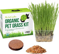The Cat Ladies Cat Grass for Indoor Cats - Growing Kit - Organic Cat Grass Seeds, Soil and BPA Free Containers (Non GMO) - Locally Sourced Seeds! (3 Pack)(1 pack)
